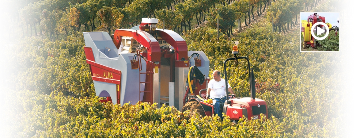 Sélecta 2. Sélecta 2. Crédits : ©alma-france.com 2016