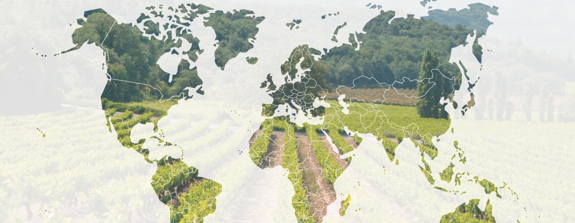 Les services (©alma-france.com 2016) Les services (©alma-france.com 2016)