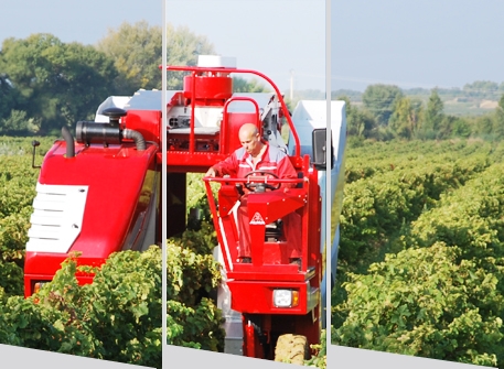 illustr rub autotractées (©ALMA)