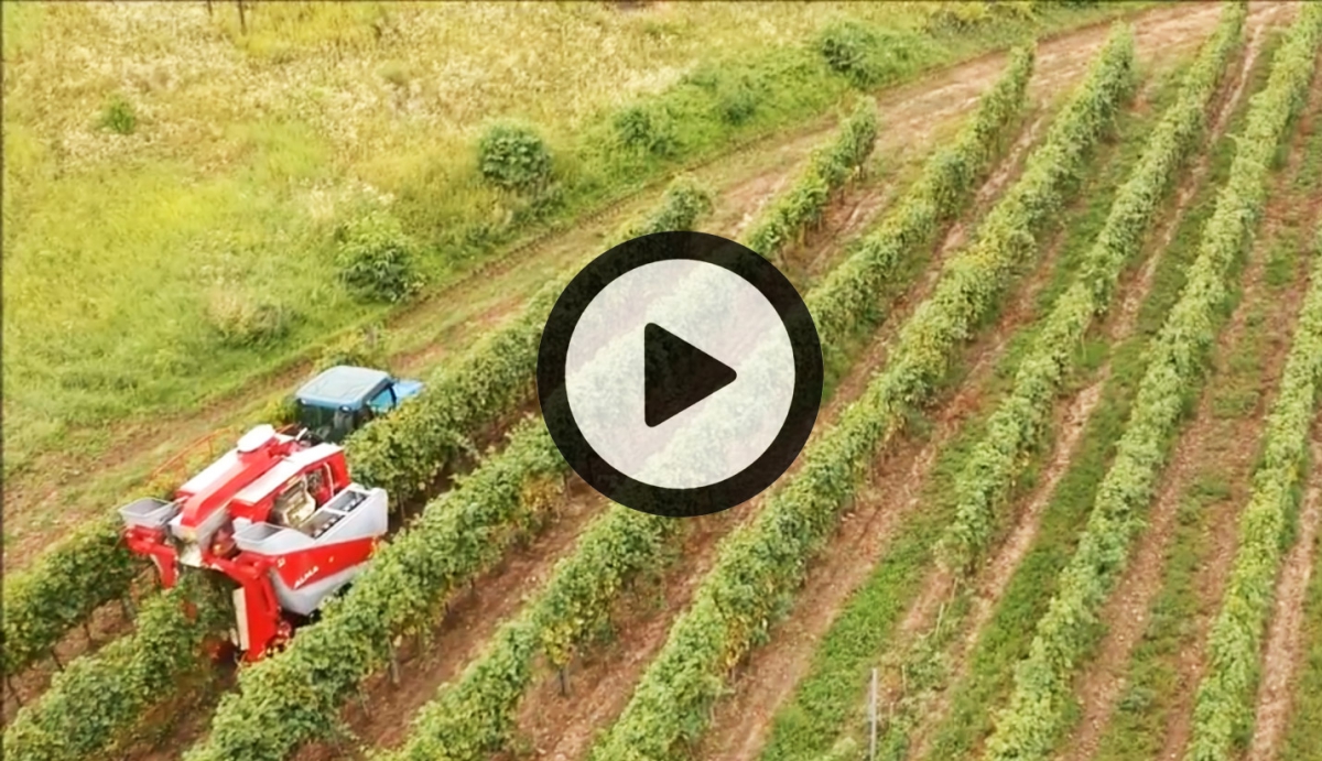 Vidéo Drone Hongrie 2018 (©alma-france.com 2018)