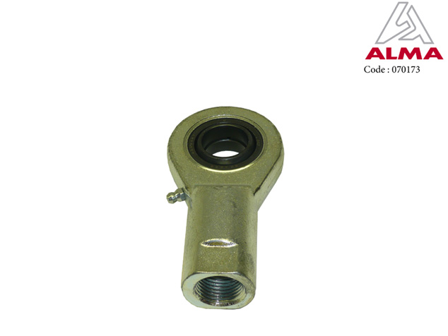 Femelle 25. Femelle 25. Crédits : ©ALMA