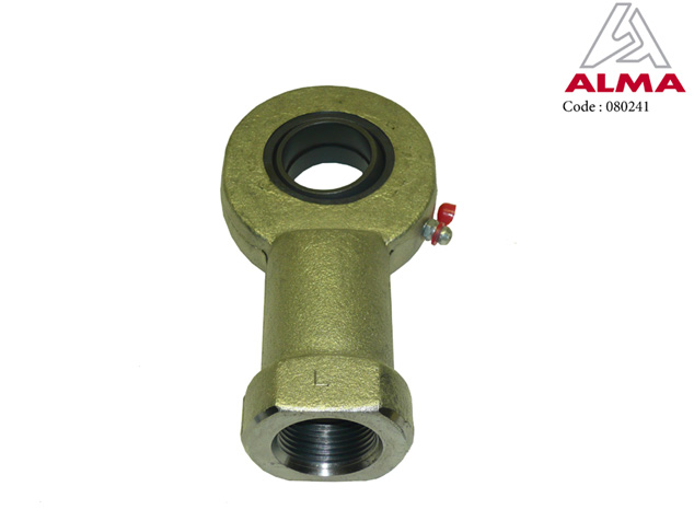 Femelle 30. Femelle 30. Crédits : ©ALMA