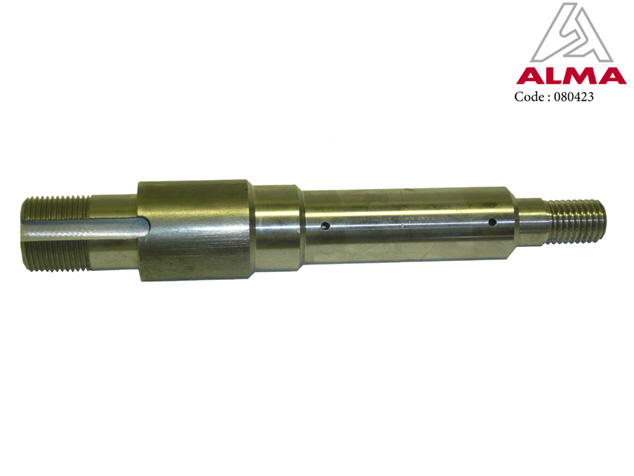 Arbre pignon double. Arbre pignon double. Crédits : ©ALMA